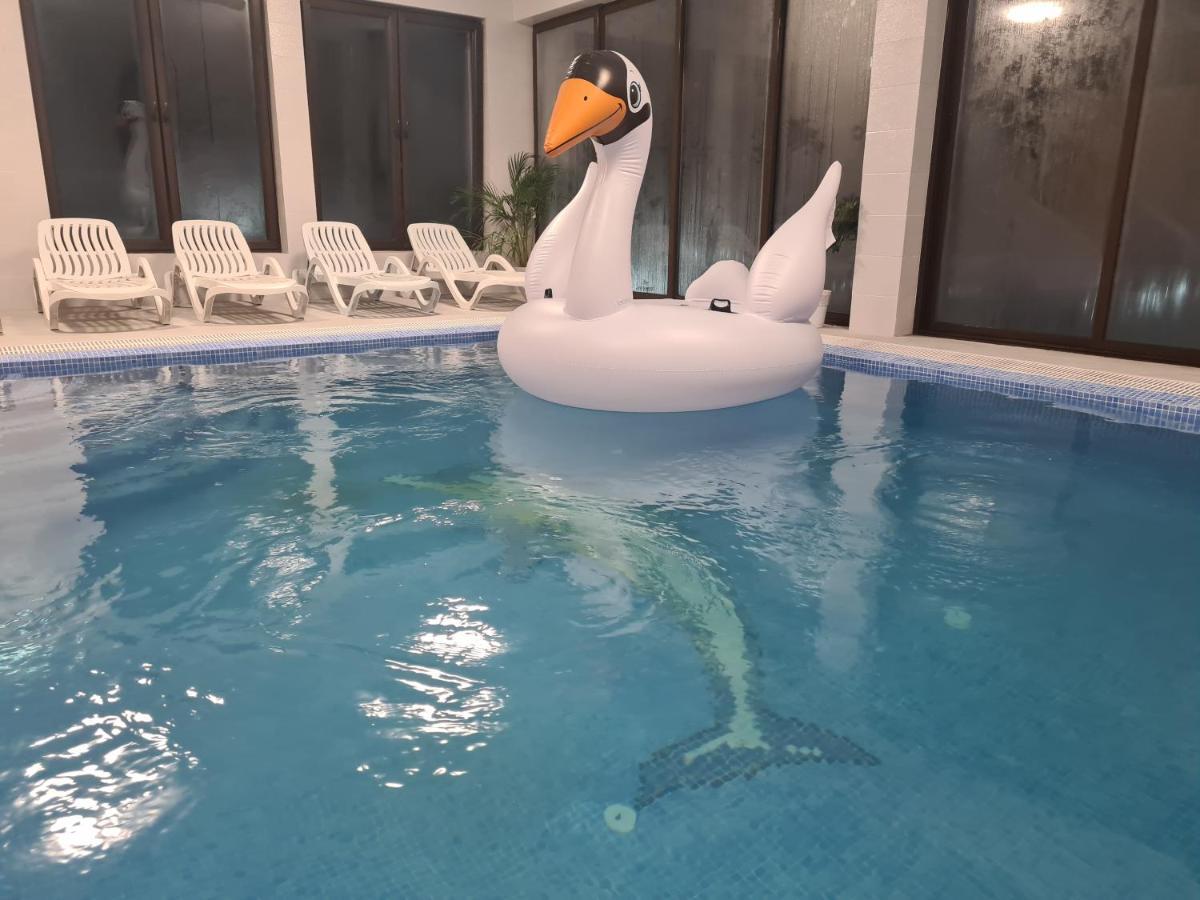 Pensiunea Gold Wellness&Spa Chiscau Eksteriør billede